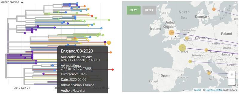 Biological Sciences Asu Major Map What Happens When We Expand The Chronology And Geography Of Plague's  History? | Torch | The Oxford Research Centre In The Humanities