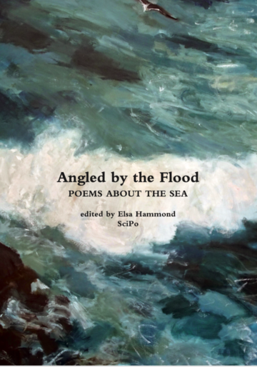 angled by the flood