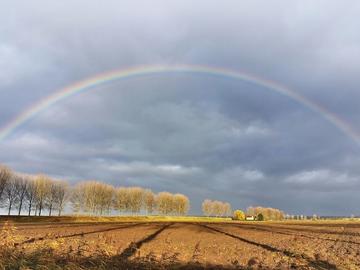 rainbow over a plowed field 