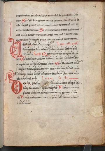 revisiting the codex buranus