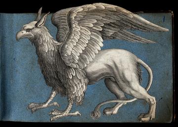 Illustration of a grey griffin (mythical creature with front of an eagle, back of a lion) against a blue background.