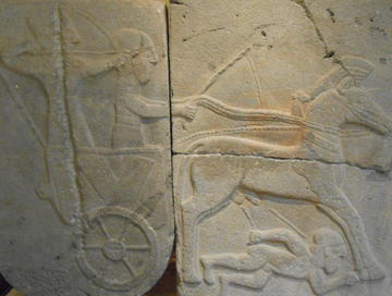 hittite war chariot 1303