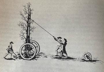 man and the natural world