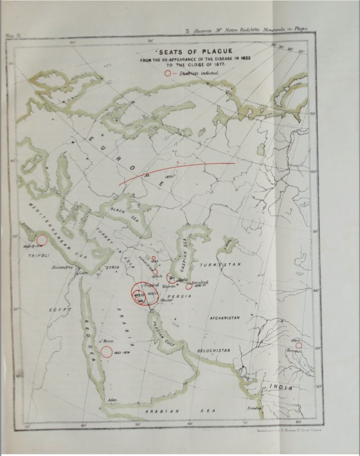 plague workshop  image