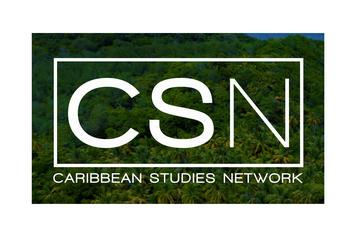 CSN logo with background of palm tree forest