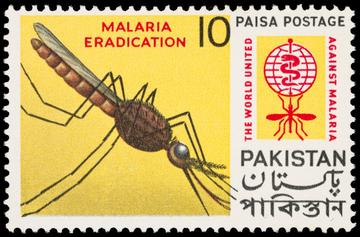 yello postage stamp showing mosquito