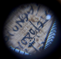 3stories from the sands