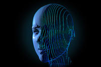 Digital reconstruction of a human head, in blue, with green lines covering half of the face