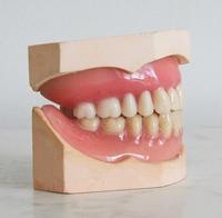 Image depicts full dentures on a denture mould.
