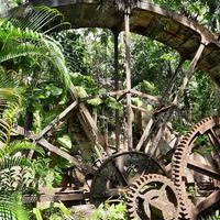 Image displays large rusty circular cogged machinery on a Plantation in St Lucia